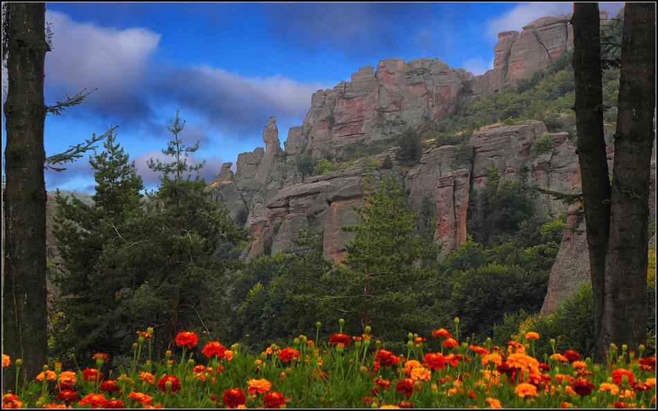 Castle Cottage Bed & Breakfast Belogradchik Εξωτερικό φωτογραφία
