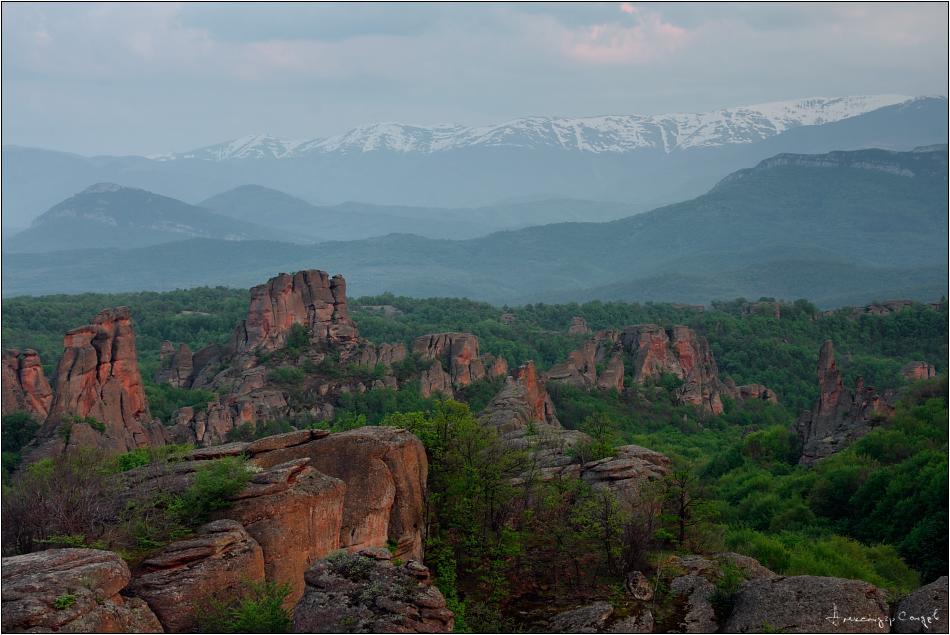 Castle Cottage Bed & Breakfast Belogradchik Εξωτερικό φωτογραφία